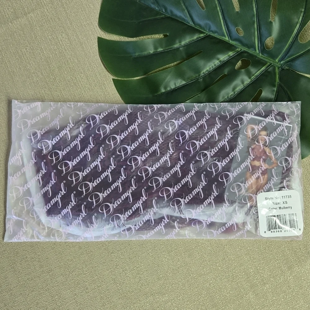 DREAMGIRL | Granada Eyelash Lace 2-pc Set in Mulberry sz XS